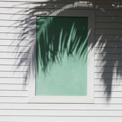 S U M M E R  D R E A M   I I