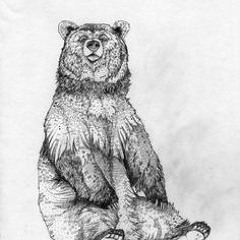 Bear Totem Medicine