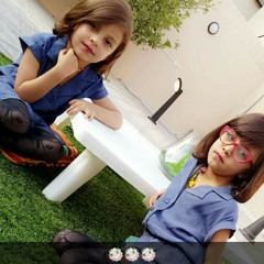 شيلاات