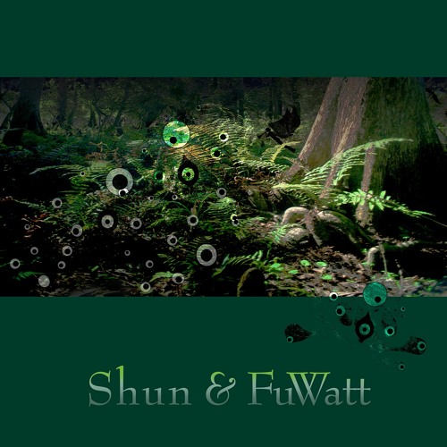 Dense Forest Of The Night(Shun & FuWatt)