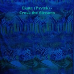 Psytek Ekata - Cross The Streams (Forest)