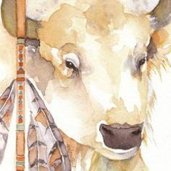 Buffalo Totem medicine