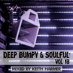 Deep Bumpy & Soulful Vol 18 Mixed By Keith Harmer