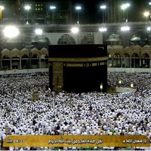 تلاوة بديعه من سورة النساء ش.بندر بليله فجر الجمعة 13-8-1437هـ