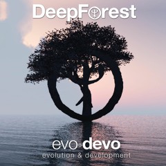 deep forest