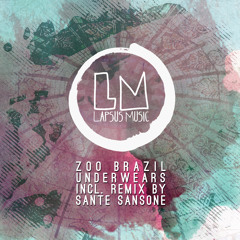 Zoo Brazil  - Underwears (Sante Sansone Remix)