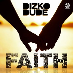Dizkodude - Faith (Radio Edit)