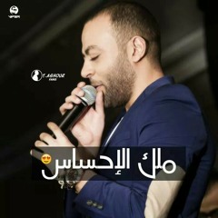 Tamer Ashour_snen 3shnaha.mp3