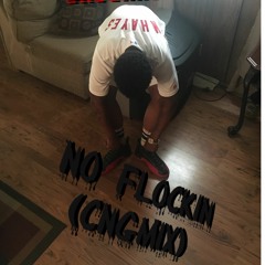 CNGSHAWTY-No Flocking