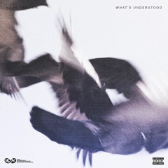 Nyck Caution ft. Joey Bada$$ - "What's Understood" (Prod. by Metro Boomin)