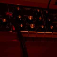 Ocololamina, featuring '77 Minimoog, Chill R&B