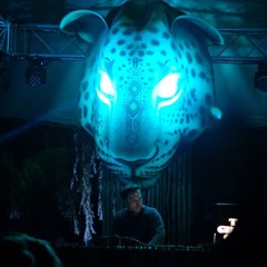 Matt Blitz at Into the Jungle CPT (20/02/2016)