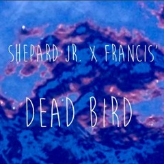 Dead Bird - Shepard Jr Ft. Francis'