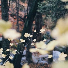 بَعيداً عَن ضَجيجِ الحَياةْ'