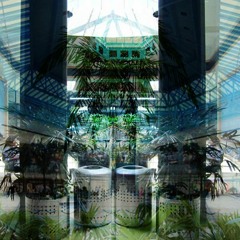 猫 シ Corp. - Jetsonmall