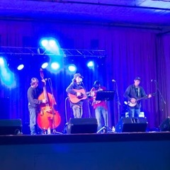 Stranger In A Strange Land