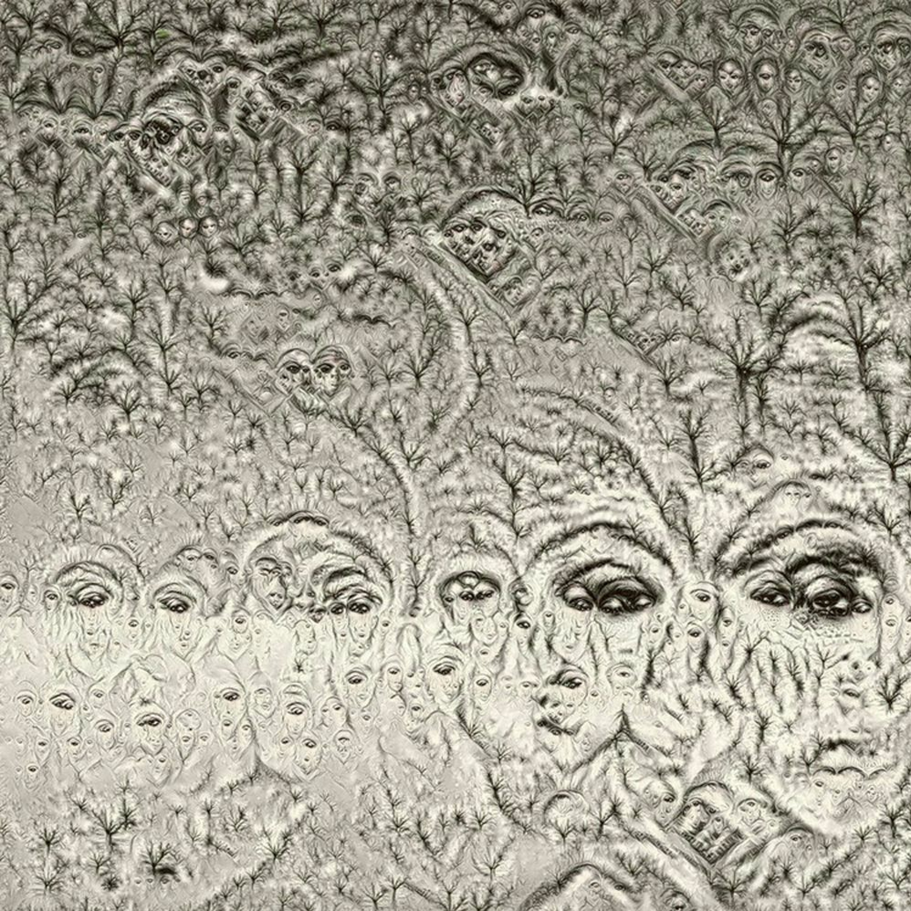 Gilboa Wilson Project