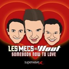 DJ Wout vs Les Mecs "Somebody Now To Love"