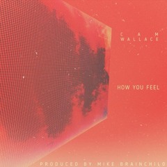 Cam Wallace - How You Feel/Don't Flex (Prod. Mike BrainChild)