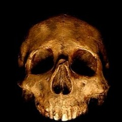 SADA x MC SENSATIONAL '' the suborder is called the eaters of many things ''