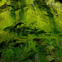 Addicted (Lylo x Meilur)