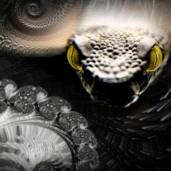 LEATHER PREDATOR _ viper