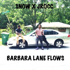 Barbara Lane Flows