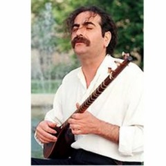 سلسله موی دوست . شهرام ناظری