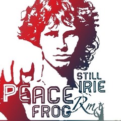 Deep House "Peacefrog" Remix