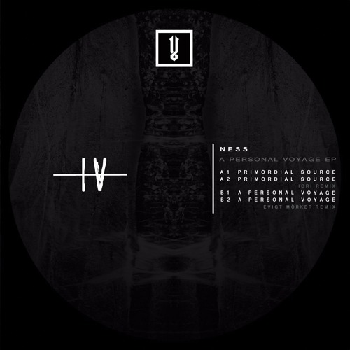 Ness - Primordial Source (Original Mix)