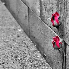 Nuicense ft (Ya Boi TC, Shortchange & Mook) - From The Bottom