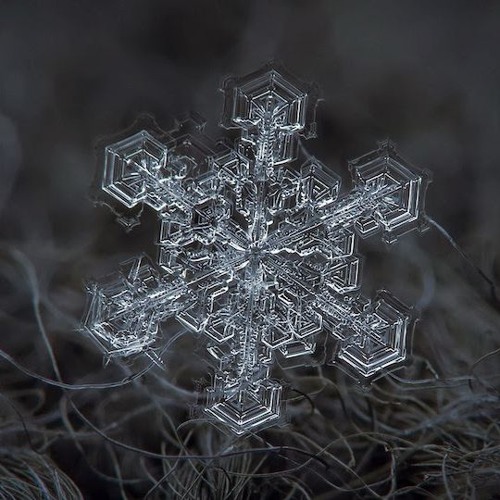 Как выглядит самая большая снежинка Listen to playlists featuring SNOW DARK by Jotape Psycho Beats online for free o