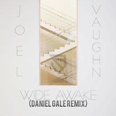 Joel Vaughn - Wide Awake (Daniel Gale Remix)