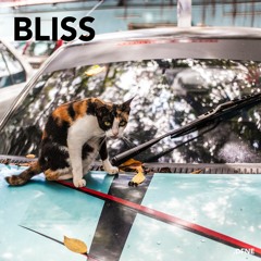 SaturdaySelects 004 : Bliss (Hibiscus Native // Prakash Daniel)