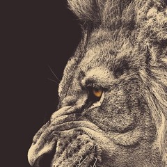 Rap/ Hip Hop/ R & B