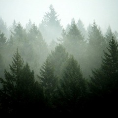 Before I Sleep (Marika Hackman Cover)