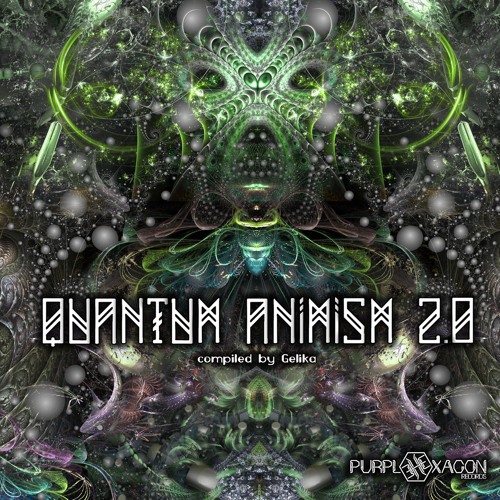 Quantum Animism 2.0