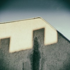 Raw Torrent