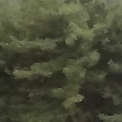 forth [disquiet0229]