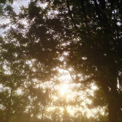 "Before I Sleep" (Marika Hackman Acoustic Cover)