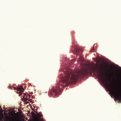 Plaid - Clock (Northern Plastics Land Before Time Remix)