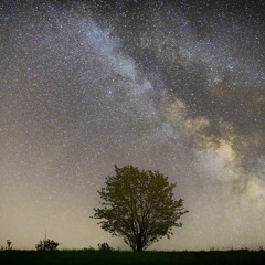 SPTL - I Will Fly With You To The Stars