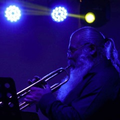 Fan Courier Muzica Si Text Stirbu Petrisor