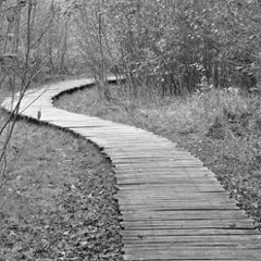 The Right Path