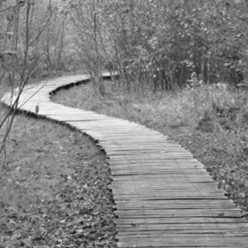 The Right Path