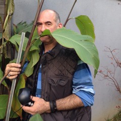 MWAP DJ Set / May 2016