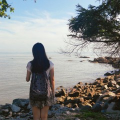 给自己的情书 － 王菲 (Cover)