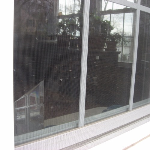 Window