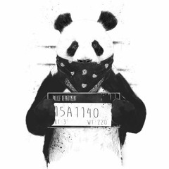 Panda Freestyle