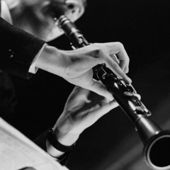 Vəli Qədimov & Çingiz Meydiyev - Şalaxo